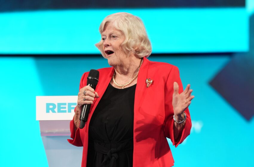 ann-widdecombe-says-reform-would-put-migrants-in-‘secure-reception-centres’