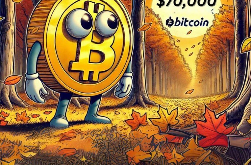 analysts-predict-bitcoin-will-hit-$70k-this-autum-–-here’s-altcoins-set-to-follow-btc