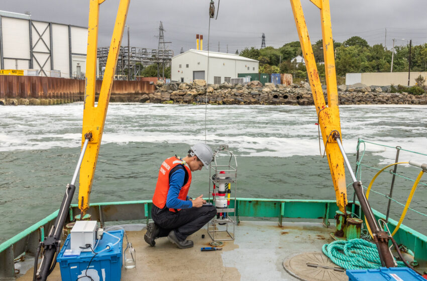  Could Altering Ocean Chemistry Help Slow Global Warming?