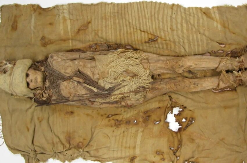 world’s-oldest-cheese-found-on-chinese-mummy