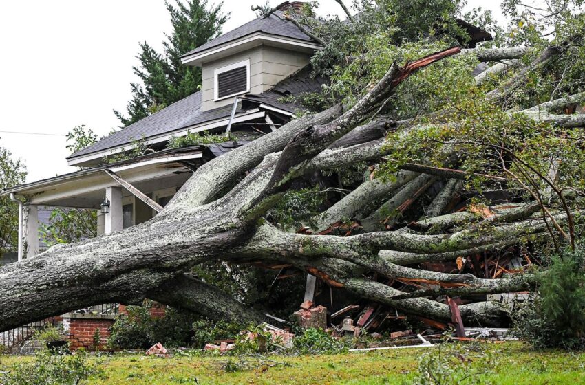 hurricane-helene-kills-at-least-43-–-as-dozens-rescued-from-hospital-roof-in-‘dangerous-operation’