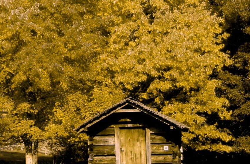 viewfinders-make-fall-foliage-pop-for-the-colorblind-in-virginia