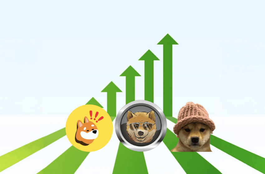  Solana Rises 7% Amid Support for Solana-Based Meme Coins – Dogen, WIF, and Bonk in the Spotlight