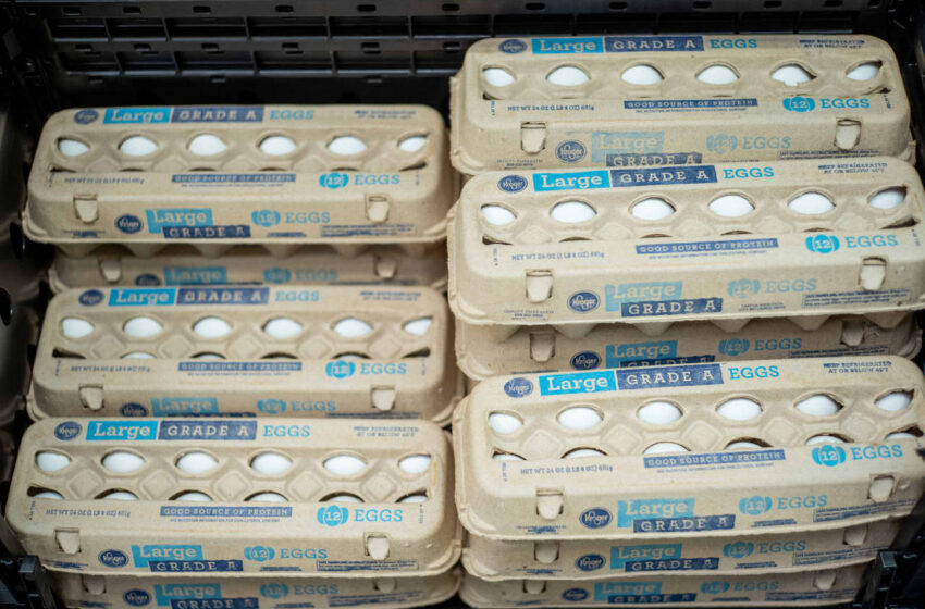  Egg prices boost Cal-Maine’s sales more than 70% higher