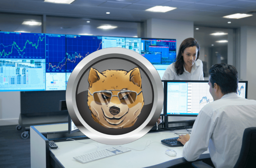 wall-street-analysts-say-dogen-could-surpass-dogecoin-and-pepe-in-market-cap-by-2024