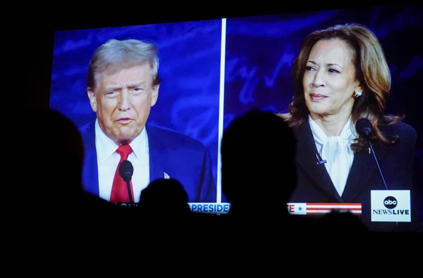 trump-or-harris?-here-are-the-2024-stakes-for-airlines,-banks,-evs,-health-care-and-more