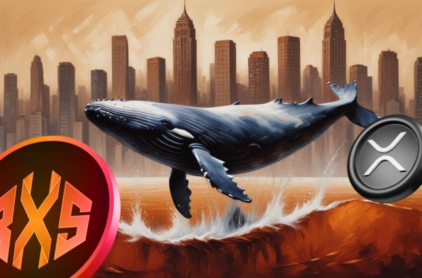  Ripple Whale Identifies Crypto Under $0.20 That Could Pump Like 2017 XRP, Hit $20 By 2025