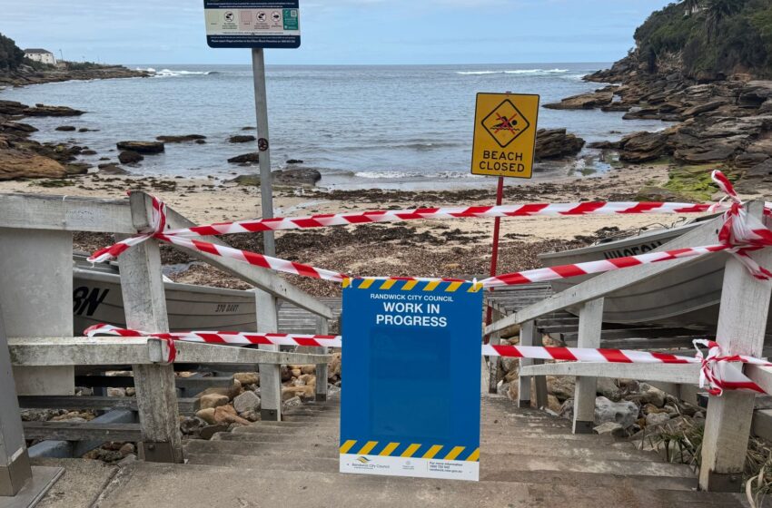  Mystery tar balls wash up on Sydney beaches forcing seven to close