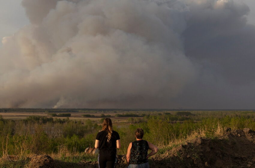  More Forests Are on Fire, a Big Risk in Climate Change Fight