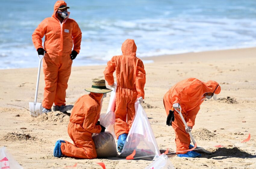 sydney-beaches-reopen-as-composition-of-‘mystery’-balls-revealed