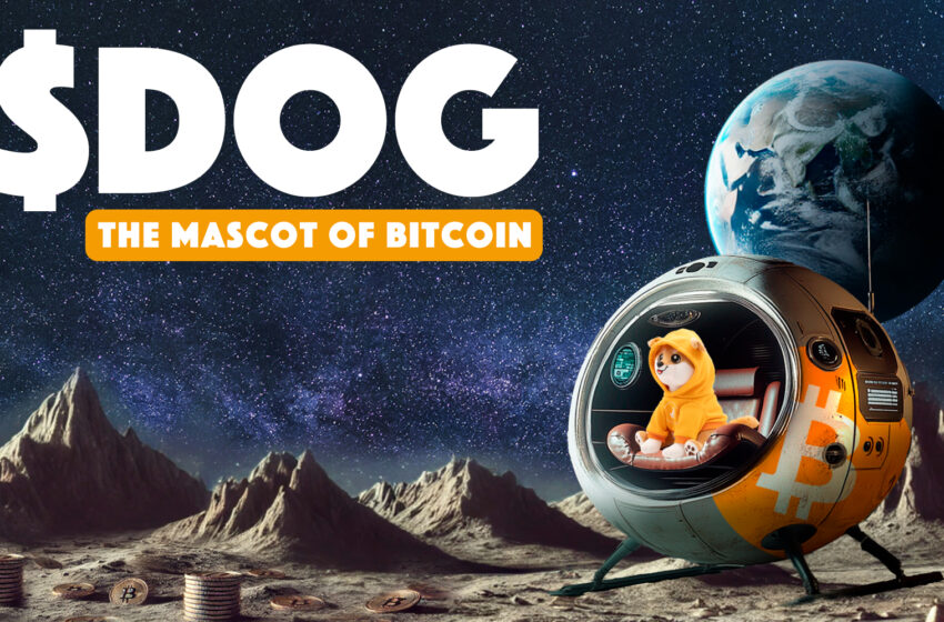  Limited-Edition $DOG Plushies to Launch on October 19, 2024, Bridging Digital and Physical Collectibles