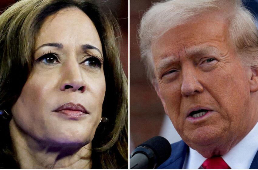 harris-prepared-to-challenge-trump-if-he-prematurely-declares-victory-–-as-he-calls-her-‘lazy’