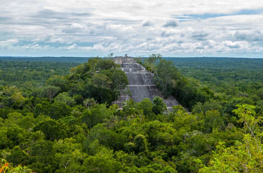  Ancient city found hidden in Mexico jungle