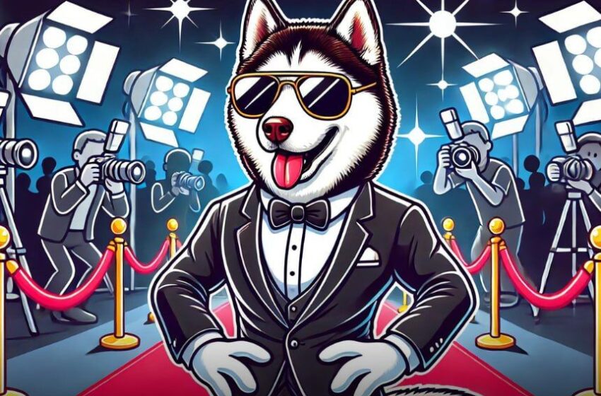 husky-inu-(hinu)-presale-success-continues-amid-transition-to-new-domain