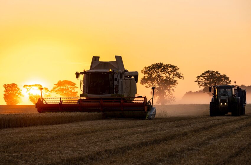  ‘Catastrophic’: Food prices could rise due to farm inheritance tax change, farmers warn