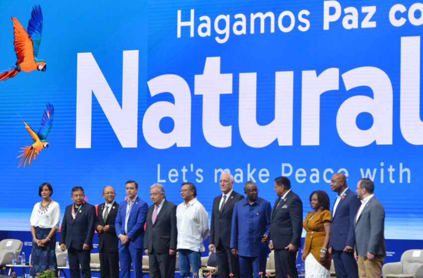  COP16 Talks in Colombia Adopt a Novel Way to Pay for Conservation