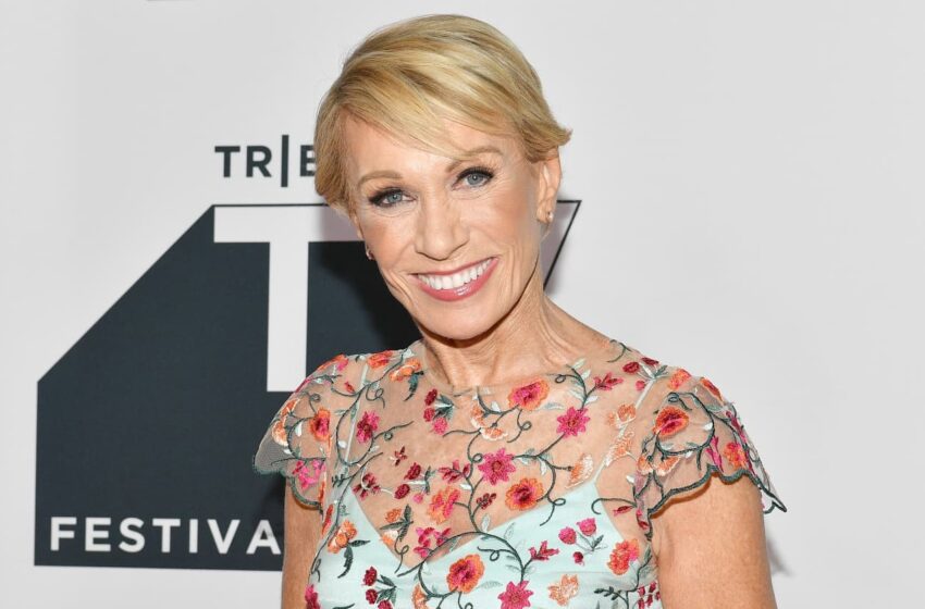  ‘It’s a decent deal’: Barbara Corcoran sticks up for WNBA star Angel Reese’s sky-high rent payments