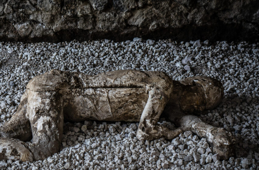  With DNA, Pompeii Narratives Take a Twist