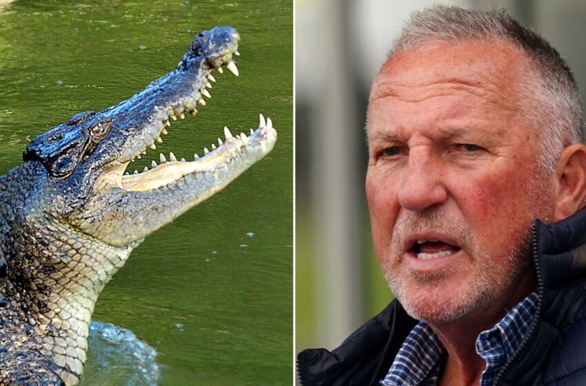 cricket-legend-falls-into-crocodile-infested-waters