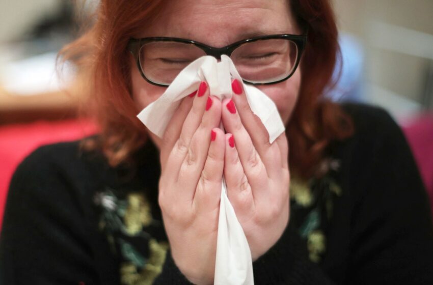  Cold-and-flu remedies could be banned in US as experts say ingredient is not effective