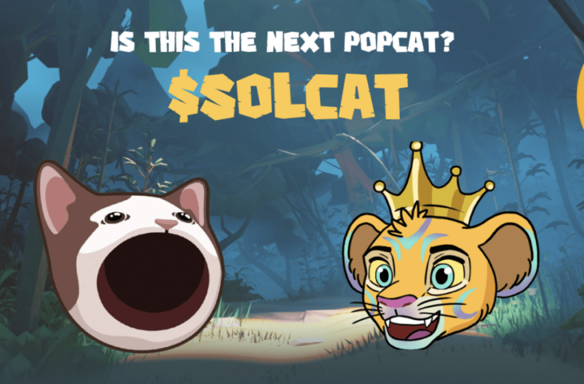  Could Solcat Be the Next Popcat? Aiming to Surpass Solana Meme Hype