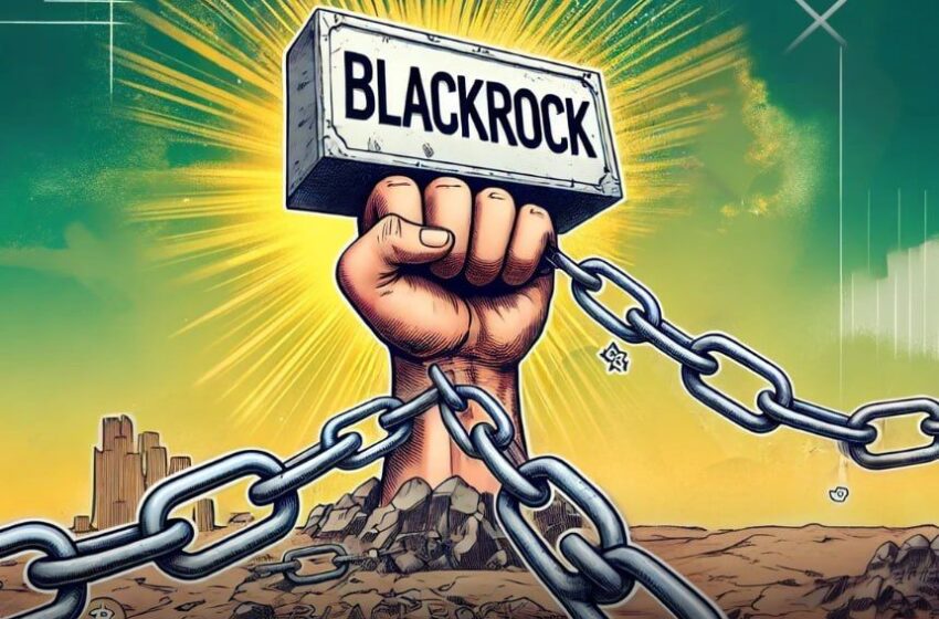  BlackRock’s Multi-Chain Strategy: BUIDL Fund Expands Beyond Ethereum