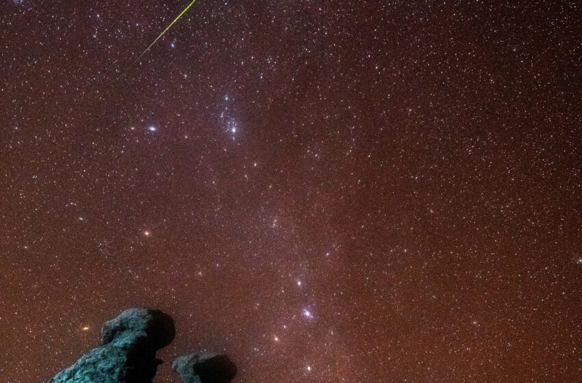  Leonids Meteor Shower: When and How to Watch Its Peak