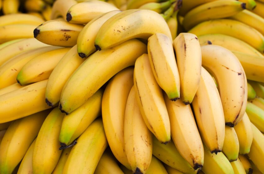  Minister’s staff insist on banana-free rooms due to ‘weirdest phobia’