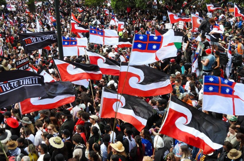  42,000 march on New Zealand’s parliament in support of Maori rights