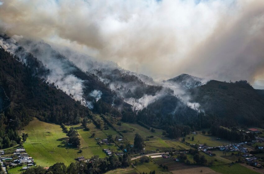  The big coal producing country trying to leave its fossil fuels in the ground