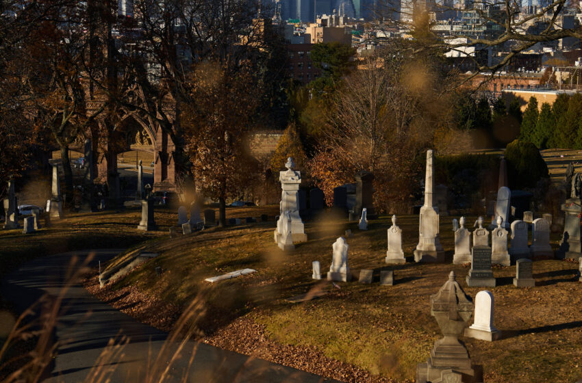  Life After Death: America’s Cemeteries Are Rewilding