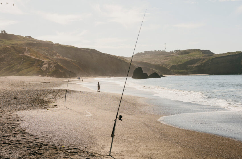 what-a-marine-heat-wave-reveals-about-our-warming-oceans