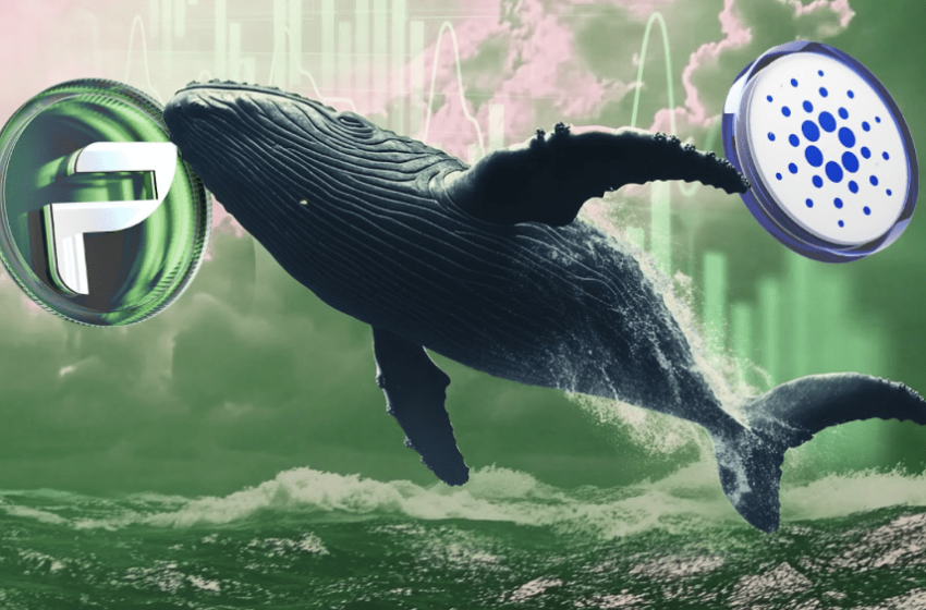  Cardano Whales Set Eyes on the PropiChain Token Presale Expecting an 8,000x Hike from Its Lowest Point Ever