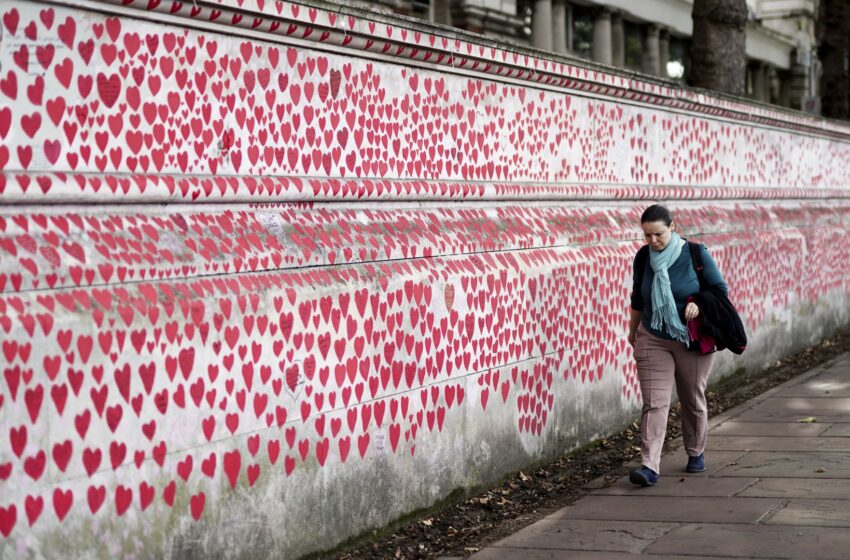  UK ‘not prepared’ for another pandemic, warns influential Lords group