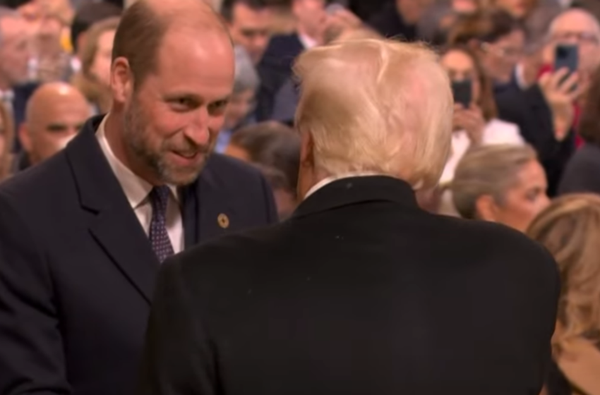 prince-william-and-donald-trump-meet-at-notre-dame-cathedral-ceremony