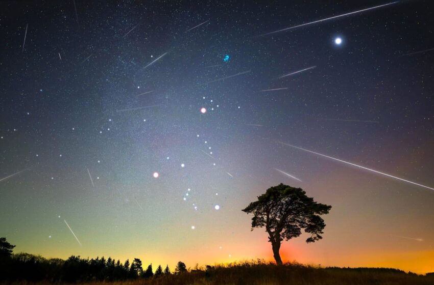 ‘spectacular’-meteor-shower-to-light-up-sky-–-here’s-how-to-watch-it