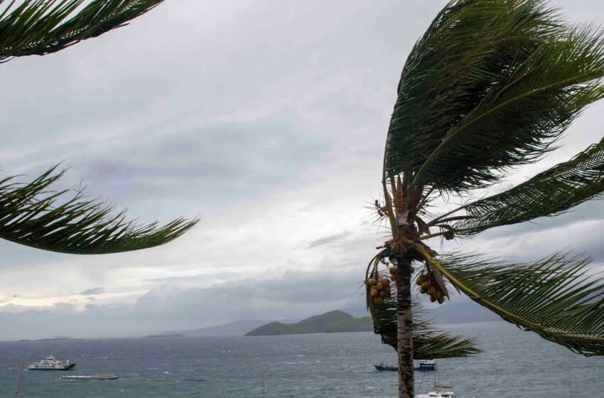  Cyclone Chido: What we know about strongest storm to hit the French island in over 90 years