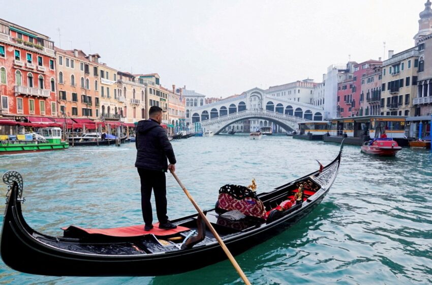  New island emerges in Venice