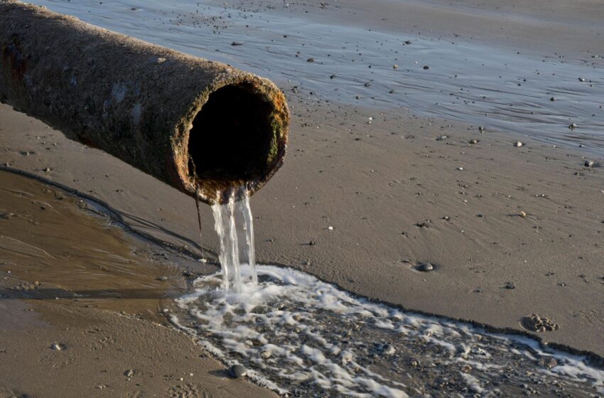  Government and water regulator broke law on sewage – watchdog