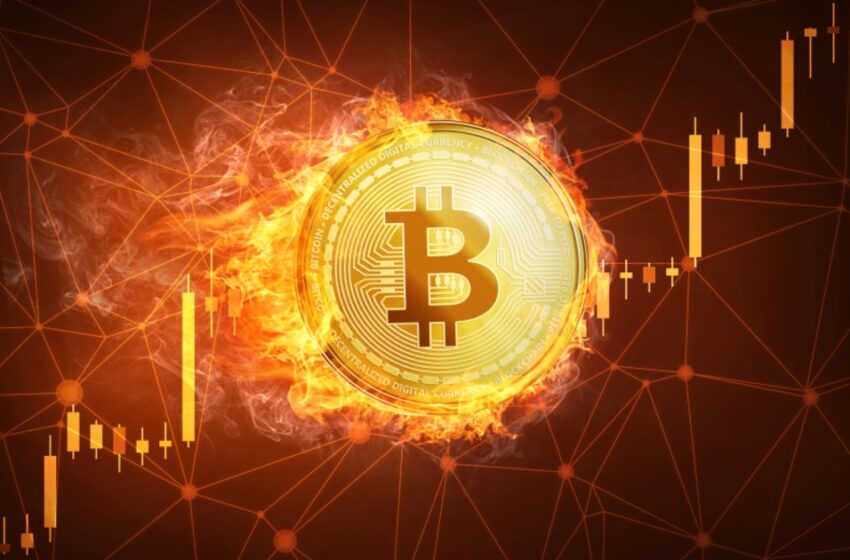 pantera-bitcoin-fund-achieves-1,000x-growth-amidst-crypto-rally