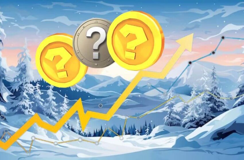 3-altcoins-ready-to-dominate-this-altcoin-season—winter-24/25-must-haves!