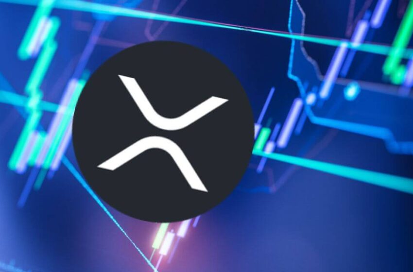  Is XRP Headed for $10? This Rising Altcoin Is Following XRP’s Early Steps With 16,900% Growth Potential!