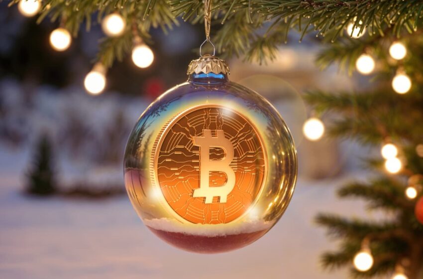 have-a-bitcoin-obsessed-brother-in-law?-here’s-what-to-tell-him-this-christmas.