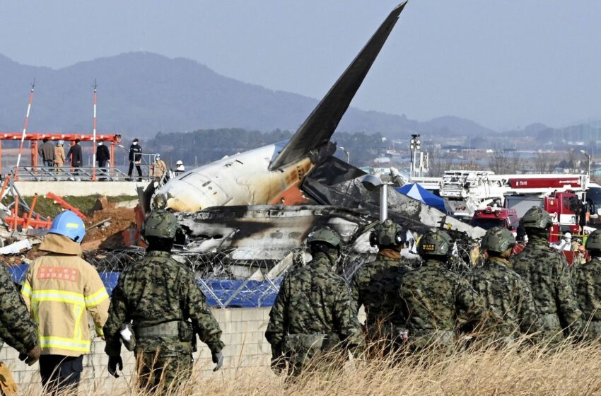 pilot-reported-bird-strike-and-declared-mayday-before-south-korea-plane-crash