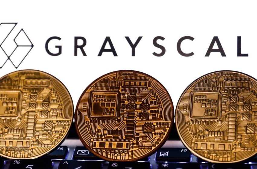 grayscale’s-zach-pandl-reveals-how-politics-and-the-economy-are-driving-bitcoin’s-bull-run