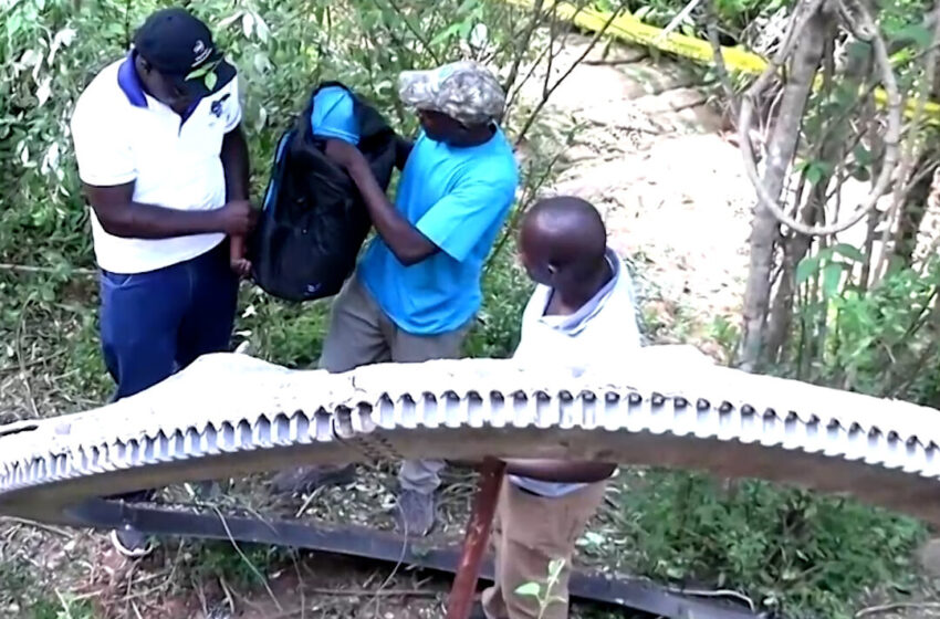  A Half-Ton Piece of Space Junk Falls Onto a Village in Kenya