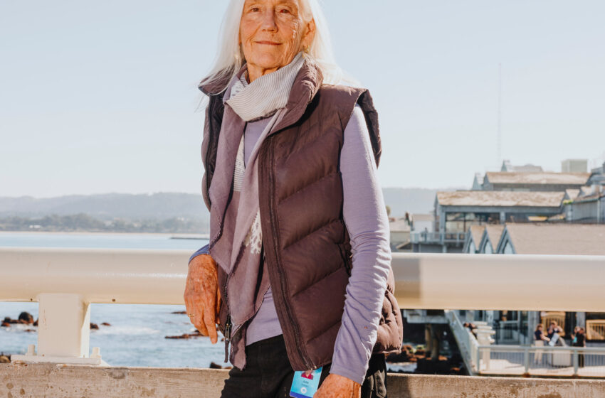  Monterey Bay Aquarium Director Julie Packard to Retire