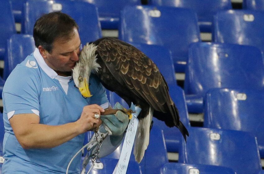  Prosthetic penis photos get football club’s eagle handler sacked