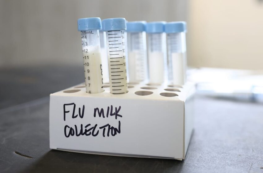 cdc-upgrades-its-advisory-on-bird-flu.-will-moderna’s-stock-get-a-boost?