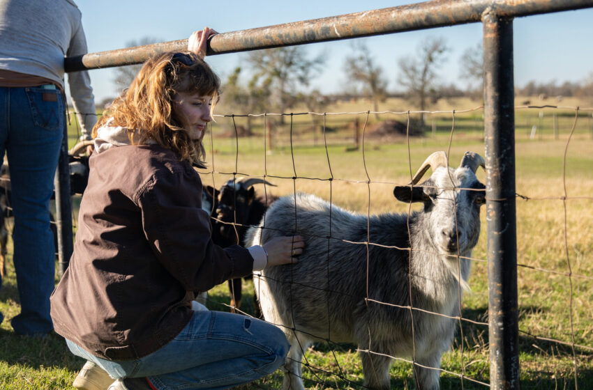  Kennedy’s Plan for the Drug Crisis: A Network of ‘Healing Farms’